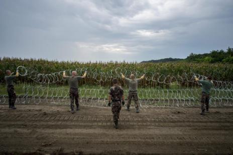 Hungría levanta valla con púas dobles en los 175 kilómetros que tiene de frontera con Serbia para evitar inmigrantes ilegales.