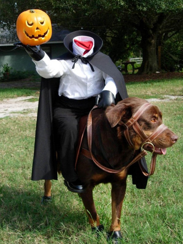 Halloween-UGC_newfy1-5226167-horseman-dog-costume_s3x4.jpg.rend.hgtvcom.1280.1707