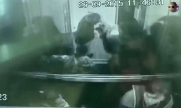 Imagen de la cámara de seguridad en el momento en que el médico lanza al perro fuera del ascensor.