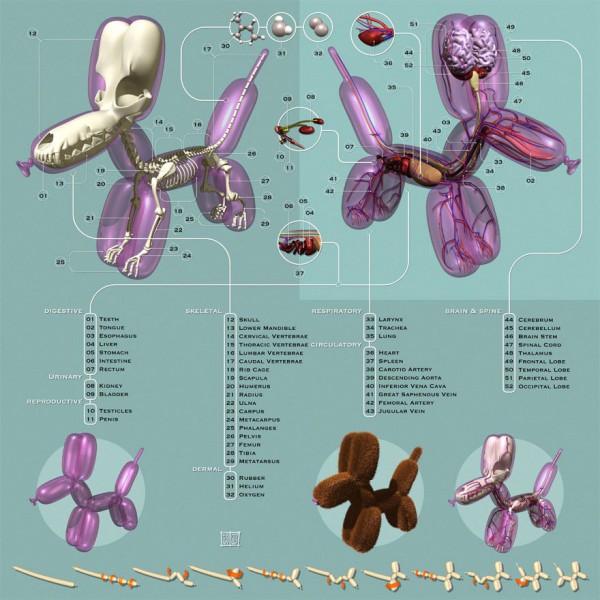 globos-anatomia-animales-jason-freeny-6