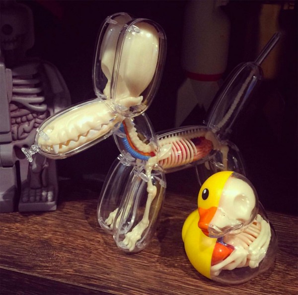 globos-anatomia-animales-jason-freeny-7