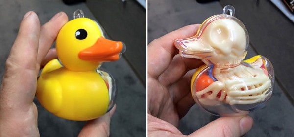 globos-anatomia-animales-jason-freeny-8