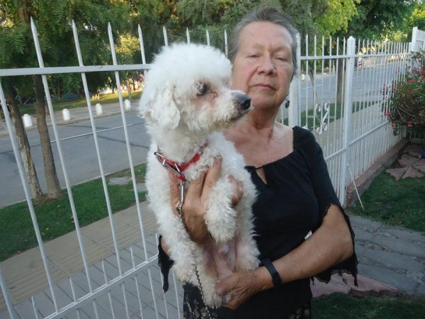 12512800_10153962588752526_6278618992964566711_n