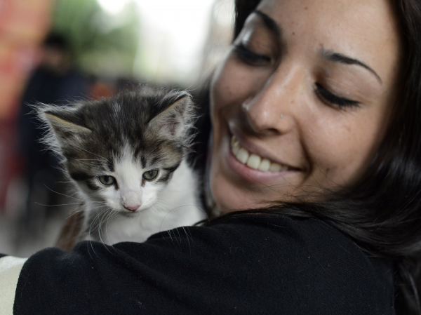 adopcion-de-mascotasgam6