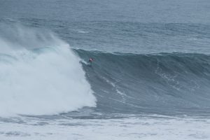 CoronaTriales2016_PuntadeLobos_fariasmoreno.com_-28