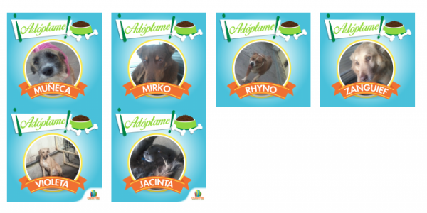 captura-de-pantalla-2016-09-19-a-las-22-10-34