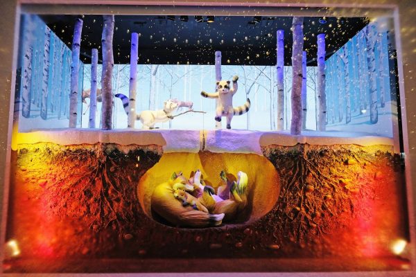 lord-and-taylor-holiday-windowa_1500_1000_70_c1