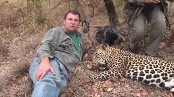 hunter-dies-crushed-shot-elephant-theunis-botha-59228cbc835aa-png__605