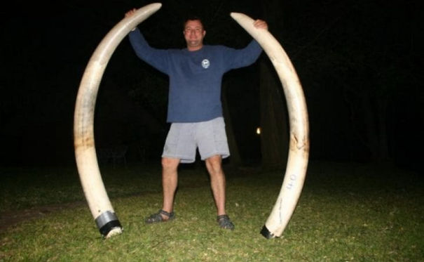 hunter-dies-crushed-shot-elephant-theunis-botha-59228df78dd3b-png__605