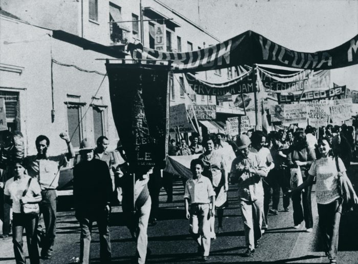 cordon vicuña 2 (petroleo)