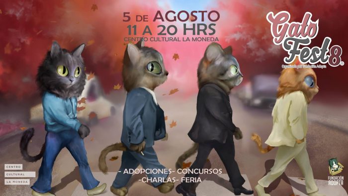 Gatofest 8
