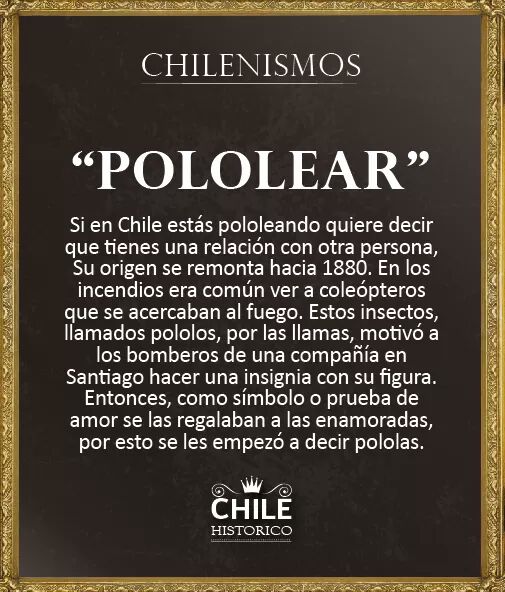 14199661_10210521491294935_2454198072852807554_n