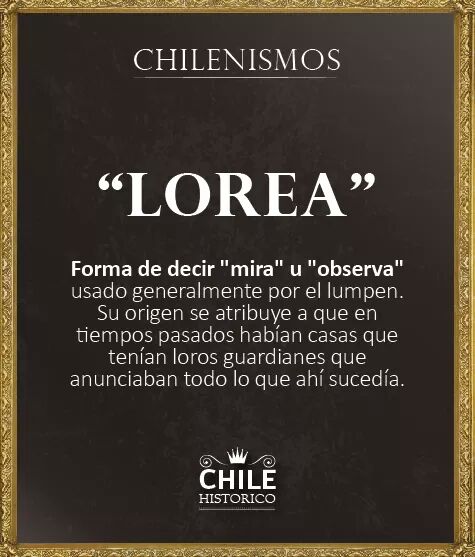 14224703_10210521489334886_1549492271013376957_n