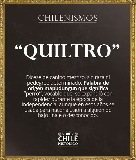 14264225_10210521494375012_8391097253435480415_n