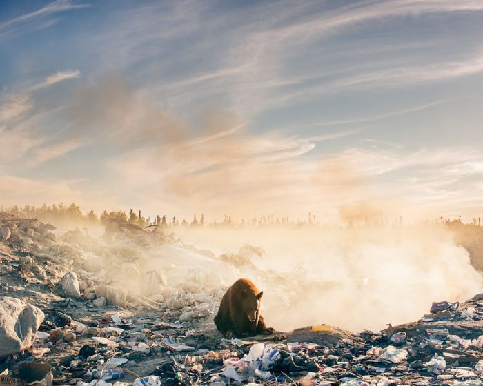 DSC3027-59a6e80a6e83e__880