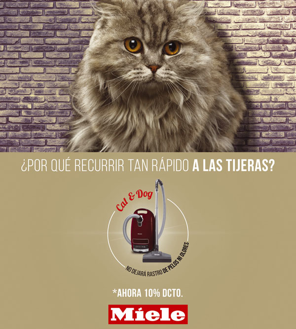 ORIGINAL-C&D-90X100_GATO-copia