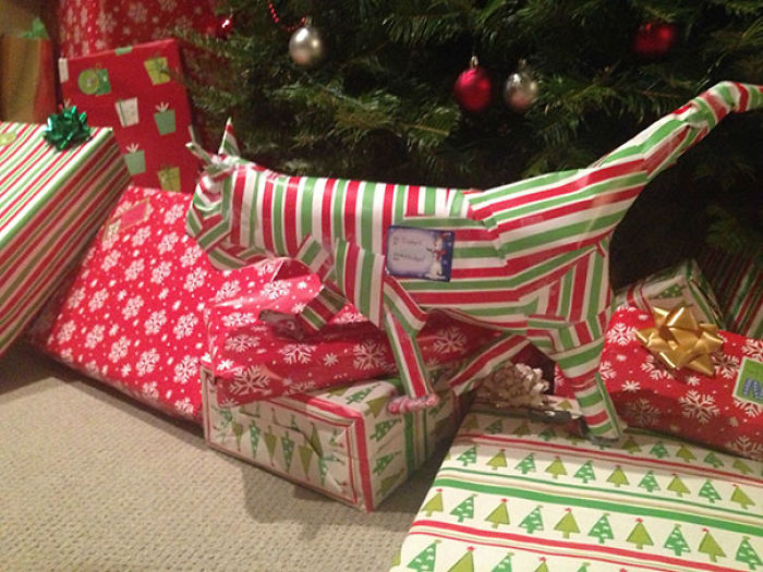 funny-christmas-gifts-trolling-19-5a33e72c9ad96__700
