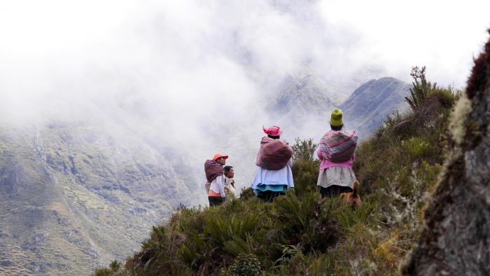 InkaMoss-Peru-thumbnail