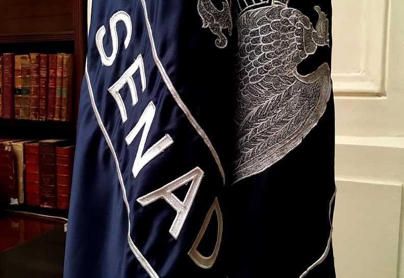 banderasenado23enero