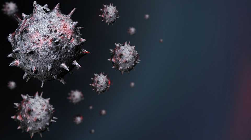 coronavirus6