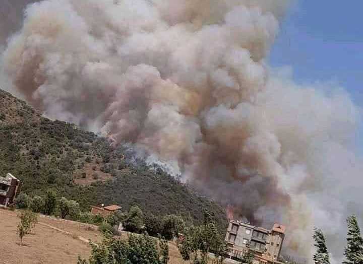 argelia incendios forestales9agosto4