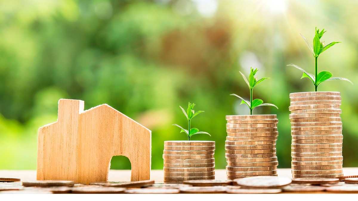 archivo infogate web-41