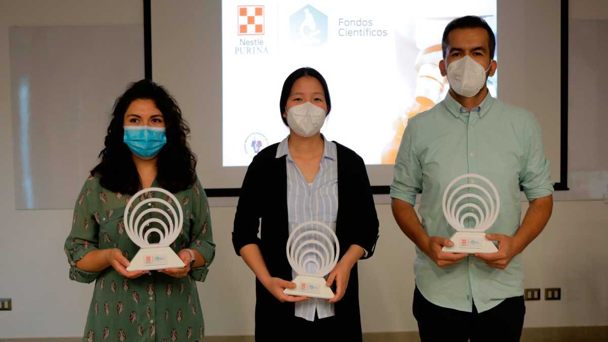 archivo infogate web-11