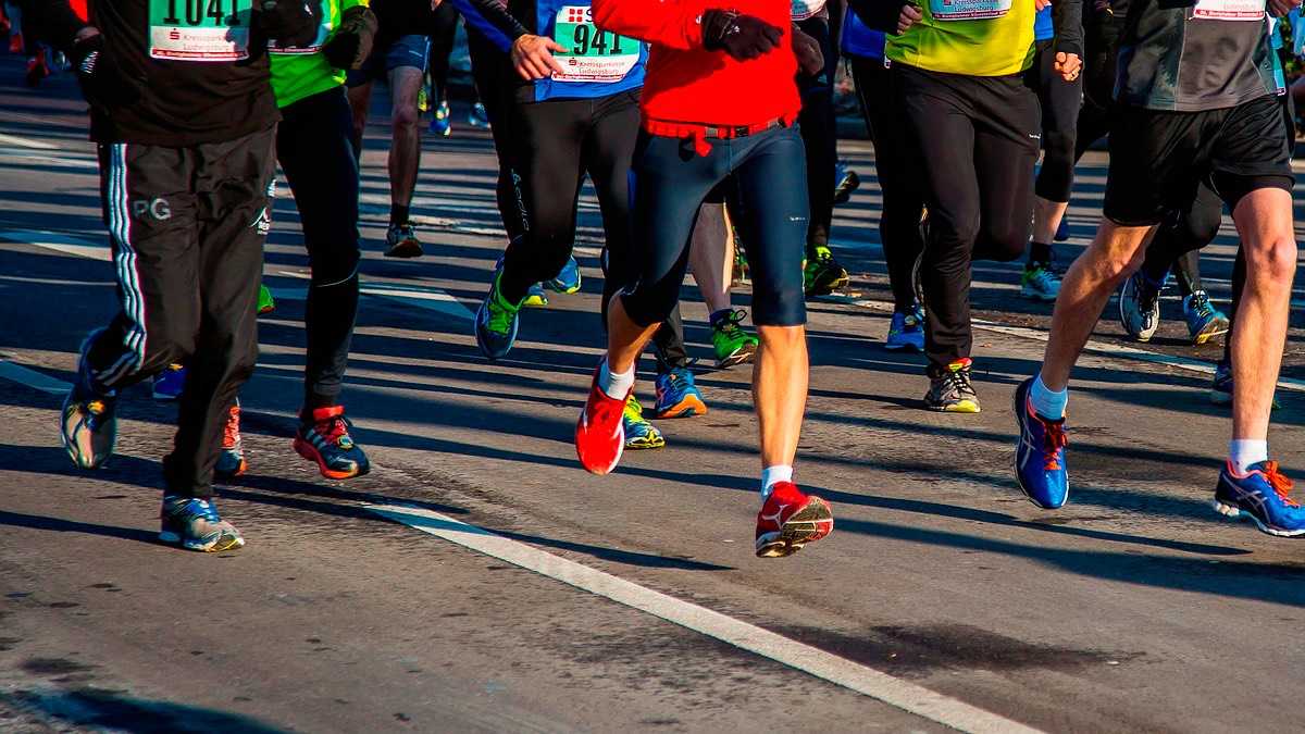 archivo infogate web-2-34