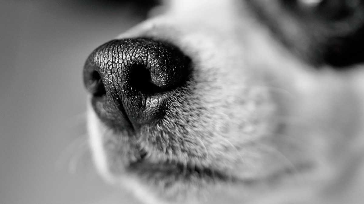 archivo infogate web-2-37