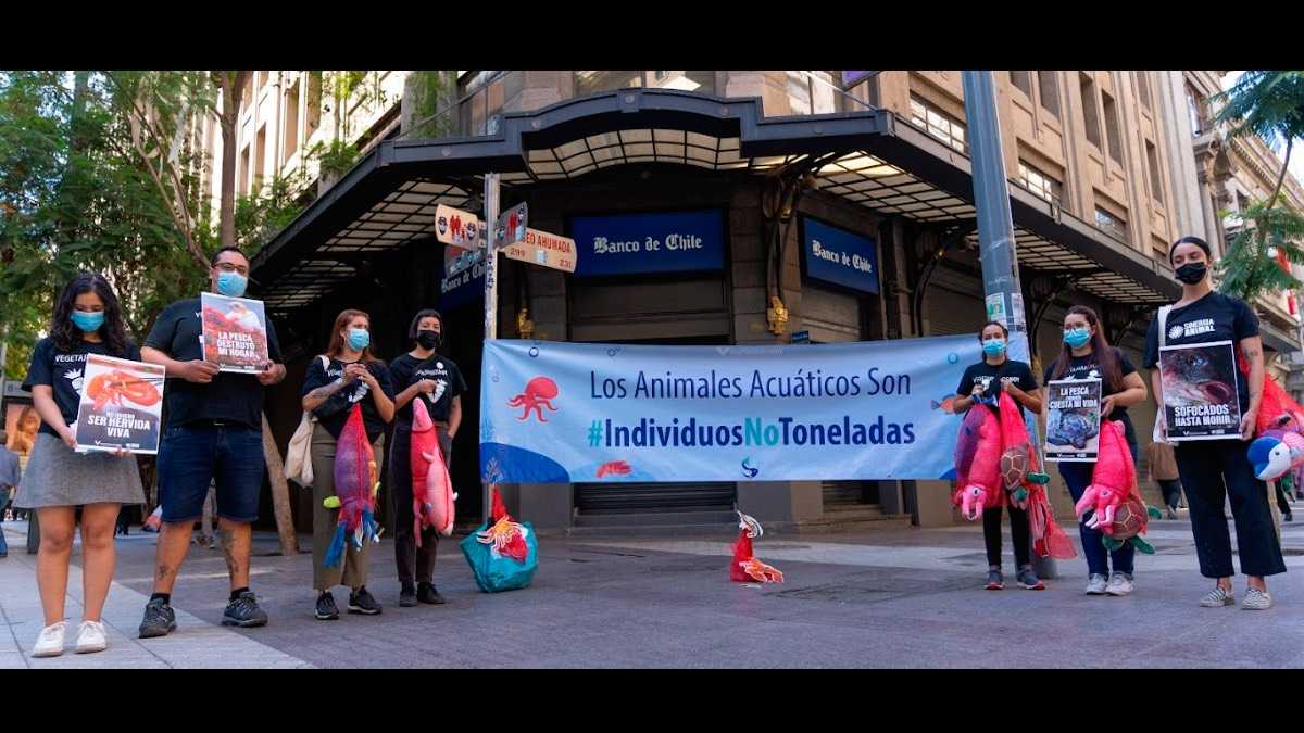 archivo infogate web-2-7