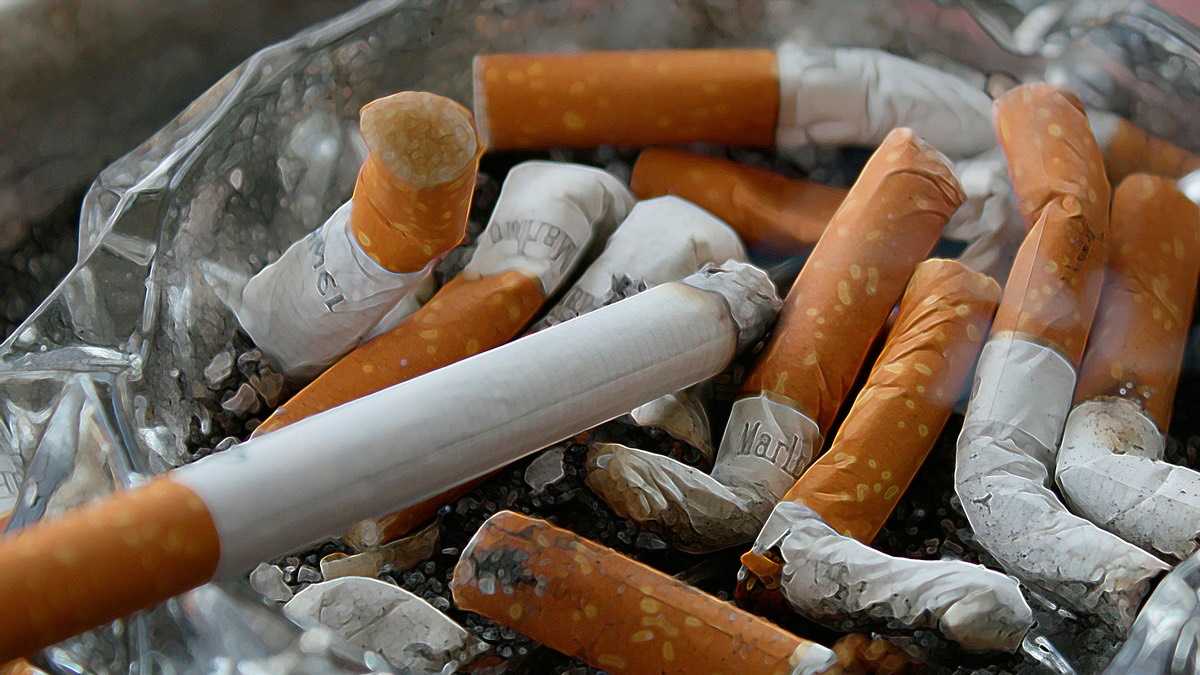 archivo infogate web-4