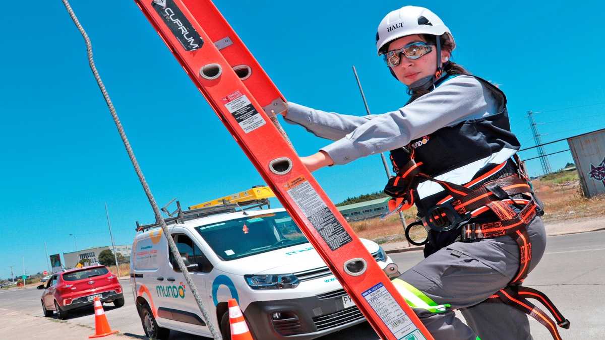 archivo infogate web-4