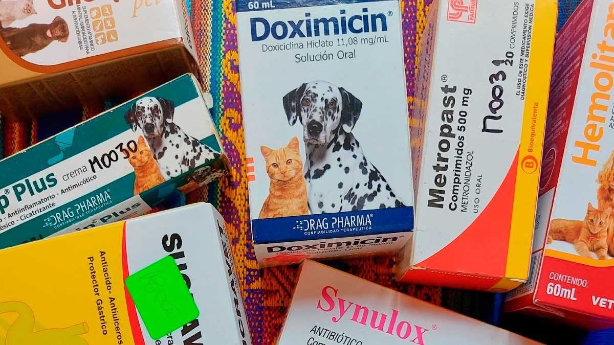 archivo infogate web-5-14