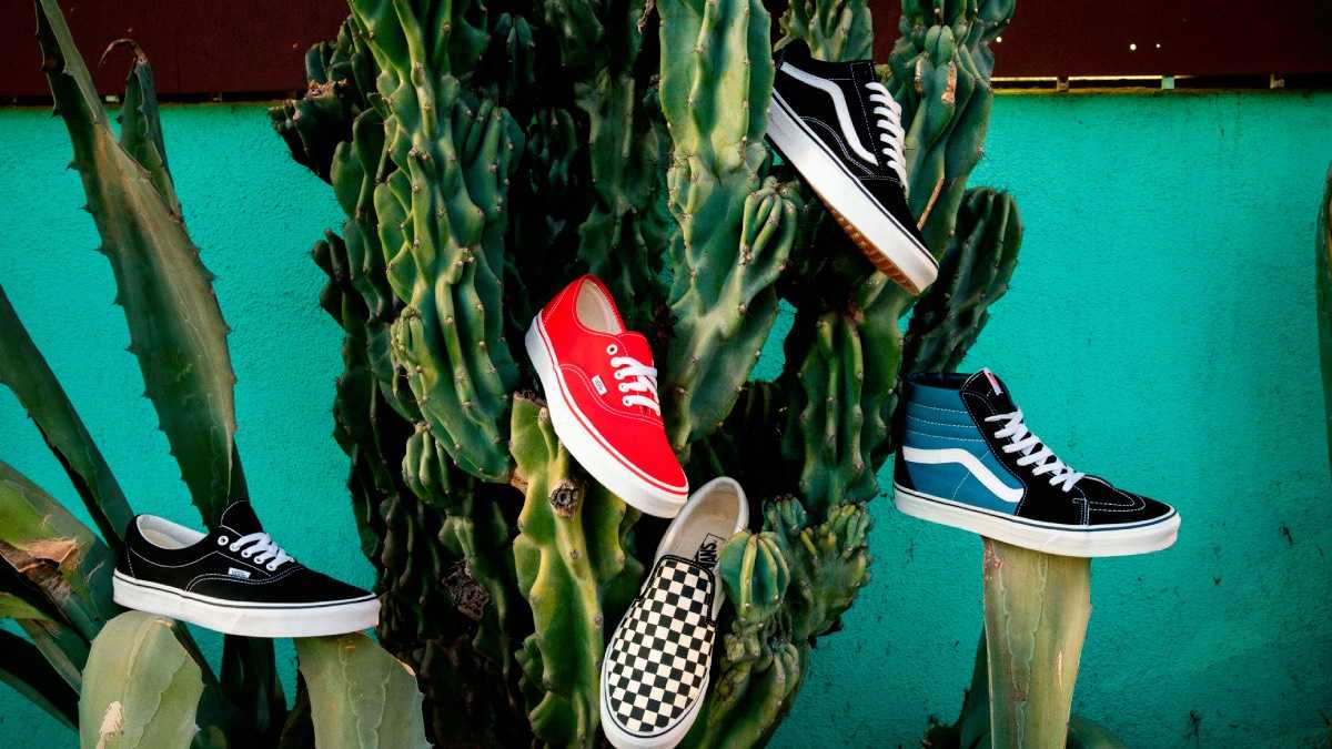 archivo infogate web-5-2