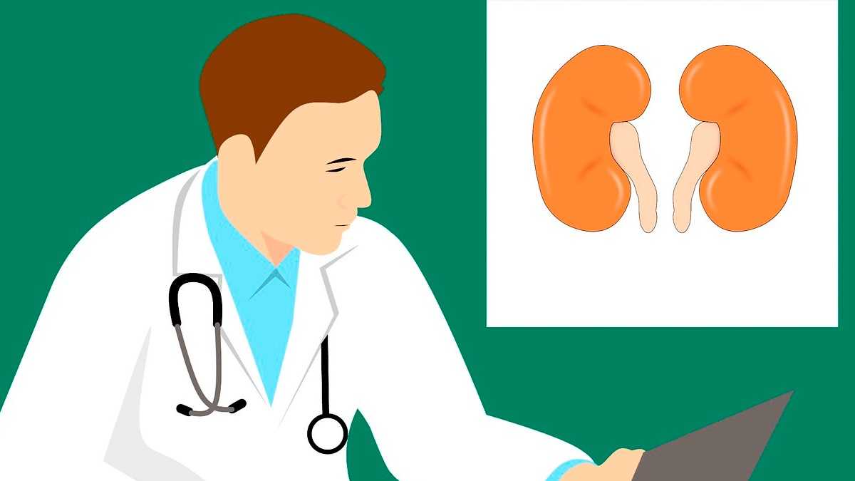 archivo infogate web-5-22