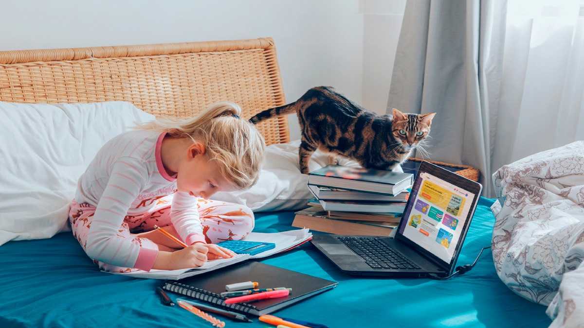 archivo infogate web-2-7