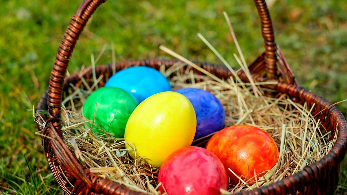 archivo infogate web-5-6