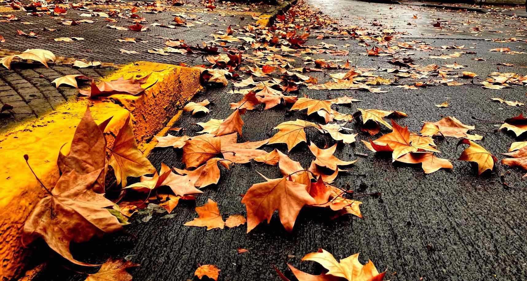 HOJASCAIADASPORTADAOK26JUNI