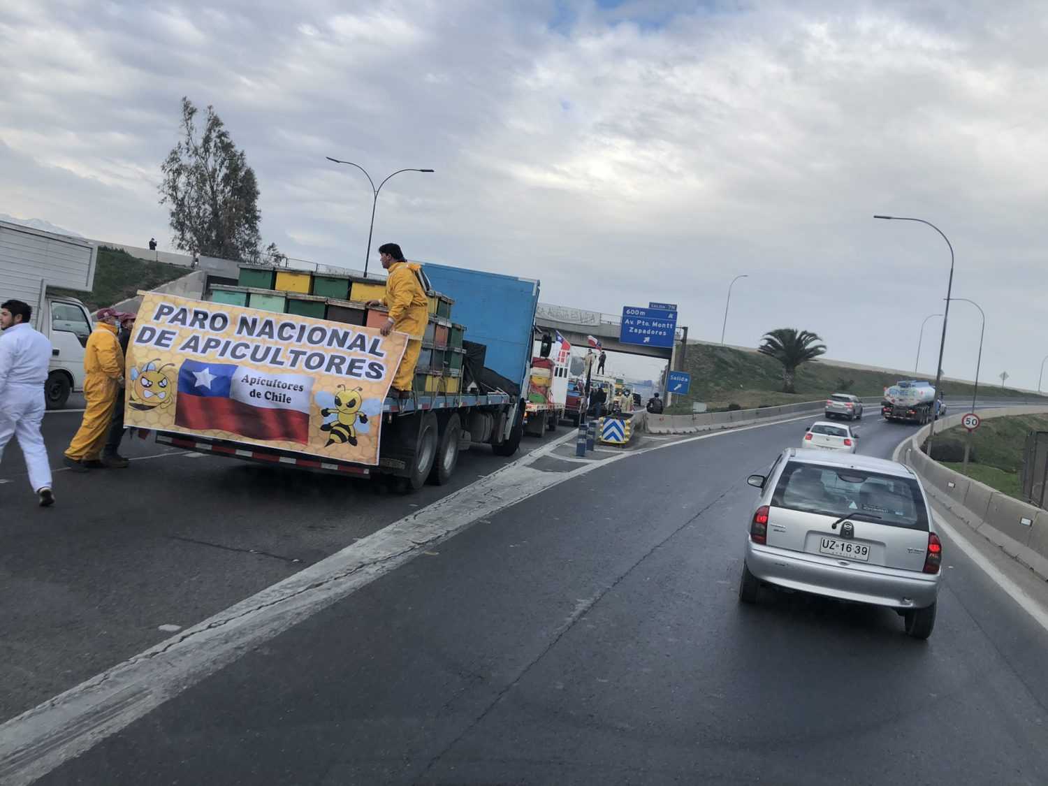 apicultoresparo6julio22