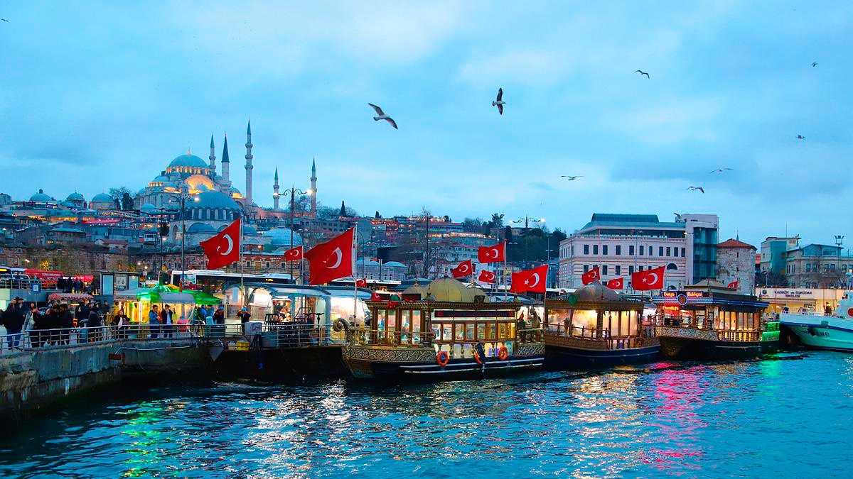 archivo infogate web-2-24