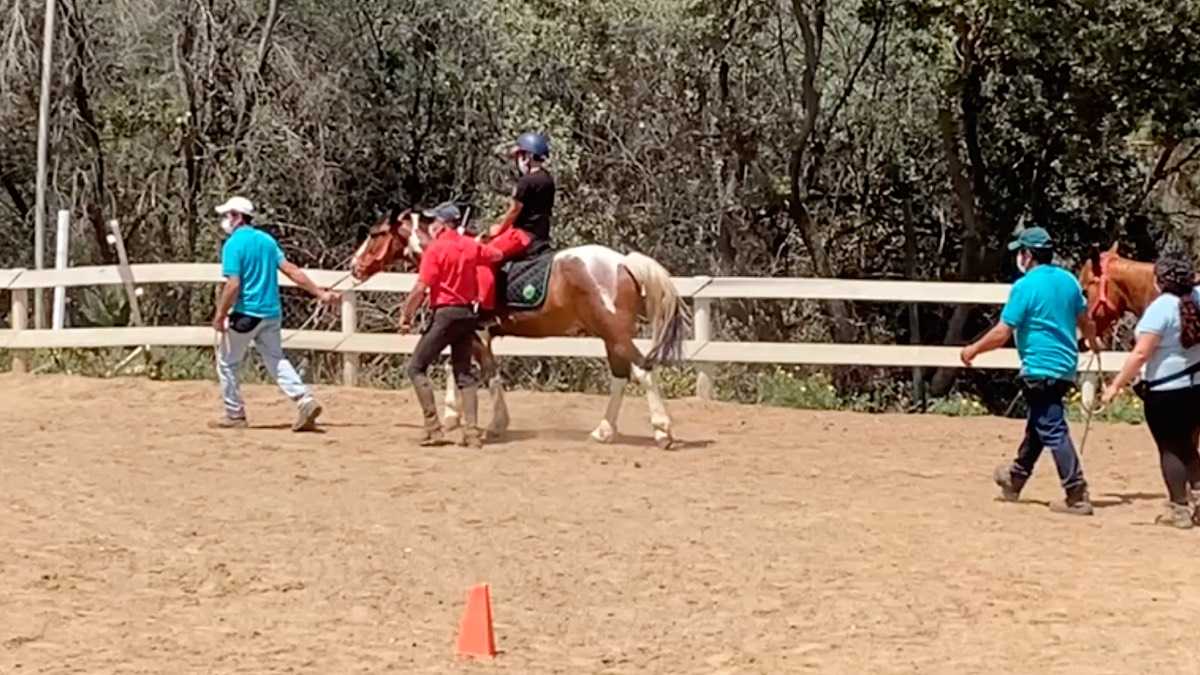 archivo infogate web-5-2