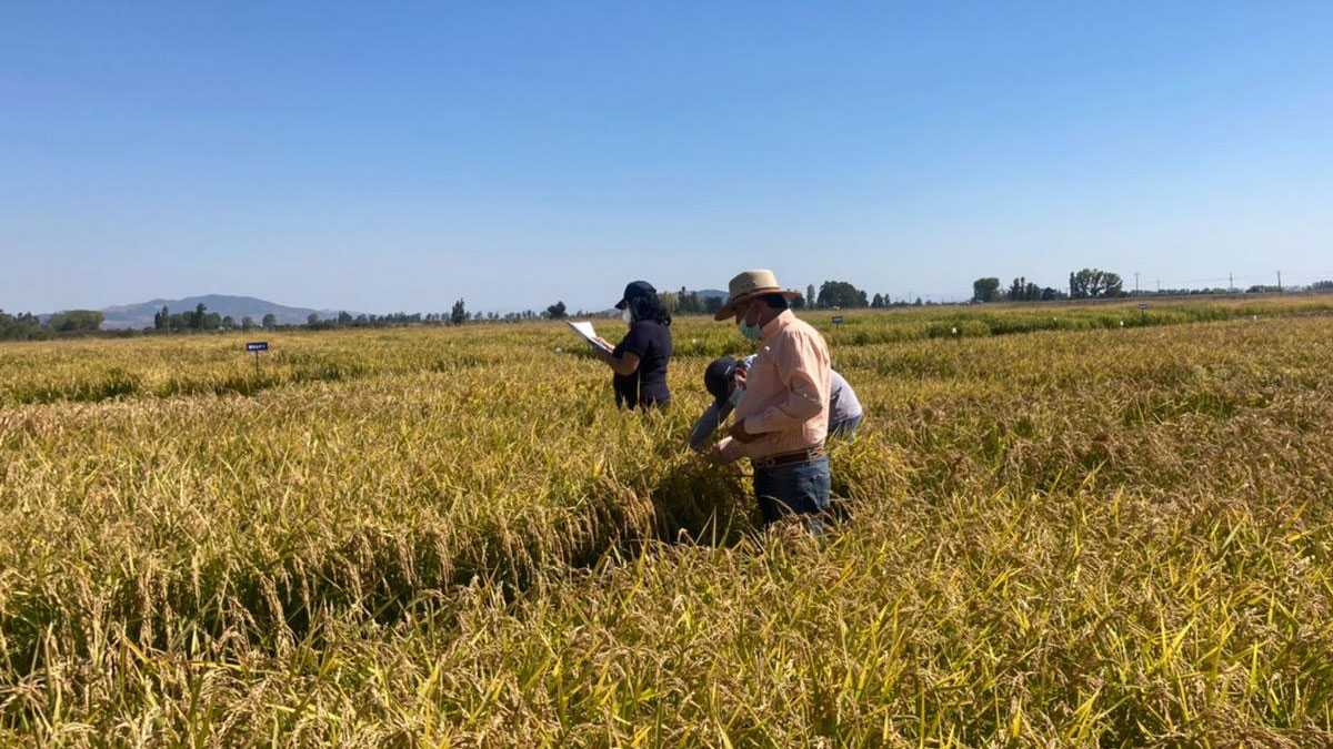 emprendimiento140902