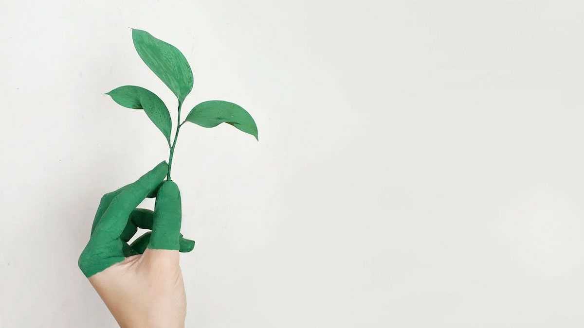 sustentabilidad211001