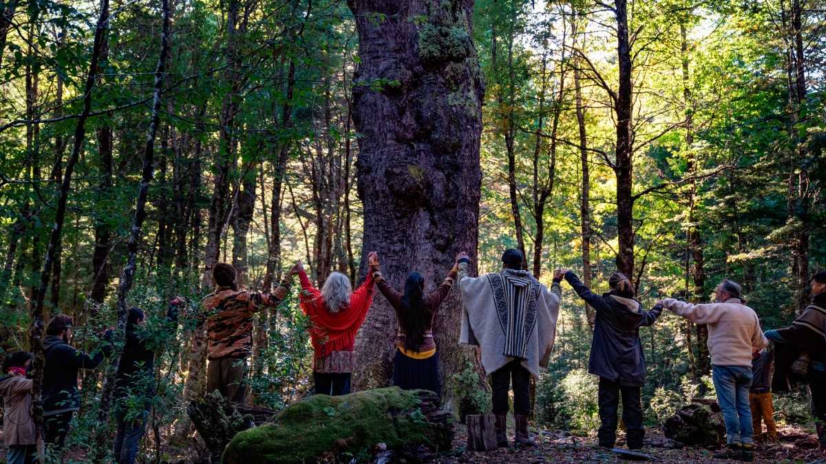 archivo infogate web-2-13