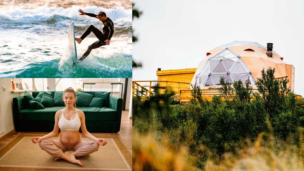 archivo infogate web-5-17