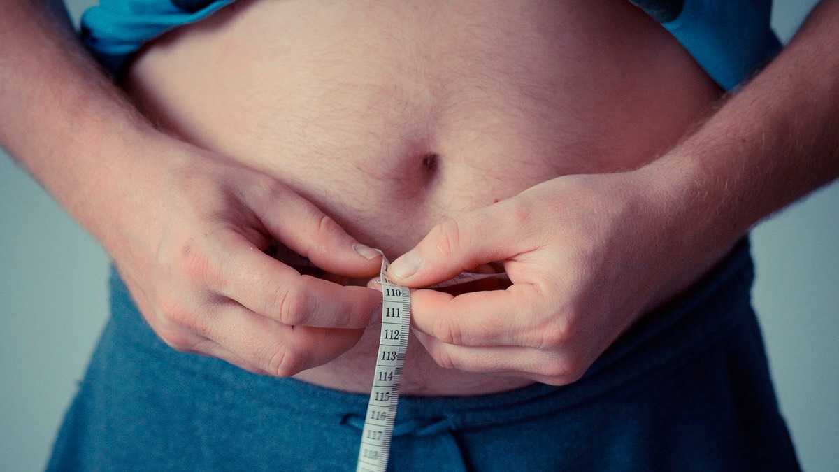 archivo infogate web-5-2-20