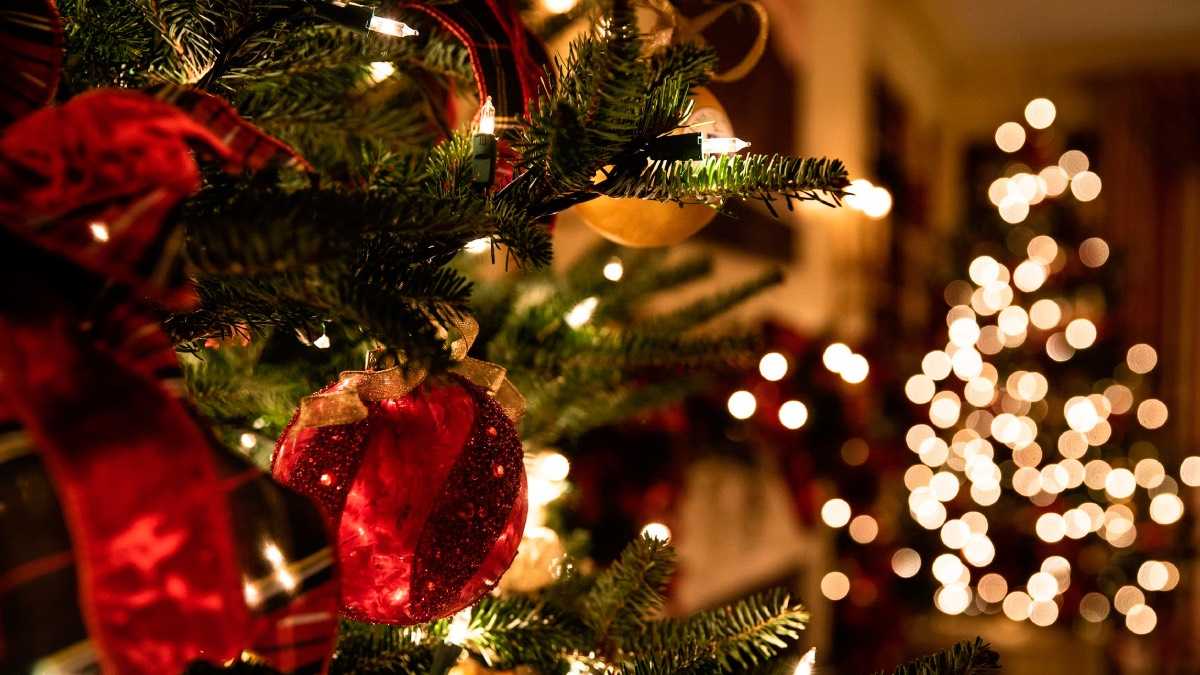 archivo infogate web-5-2-22