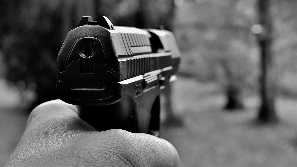 archivo infogate web-5-33