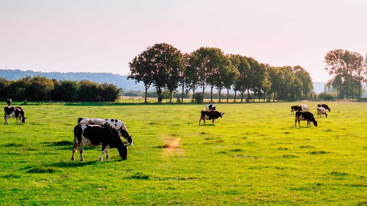 archivo infogate web-5-44