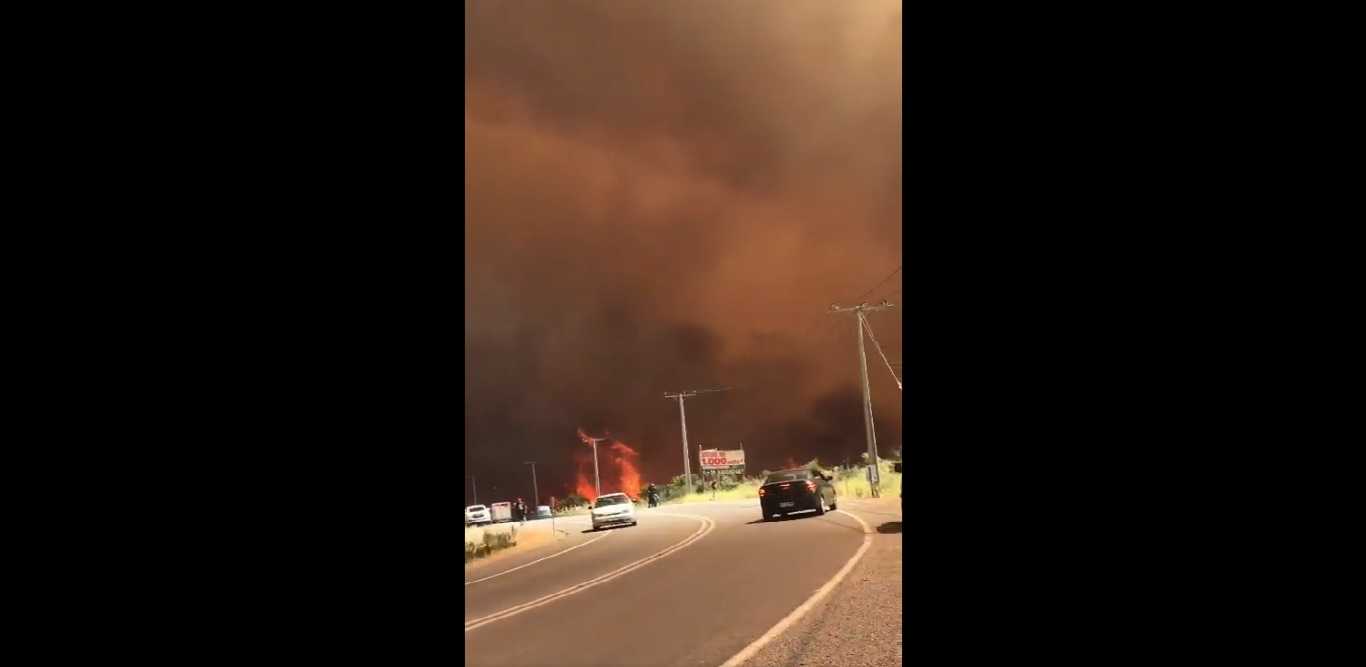 ALTOSDEPOPETAMELIPILLA11DICIEMRE22